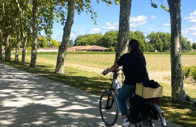 Tour en bicicleta por los viñedos de Saint-Emilion - Foto 3