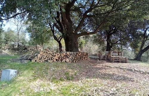 La Capretta Country House - Foto 12