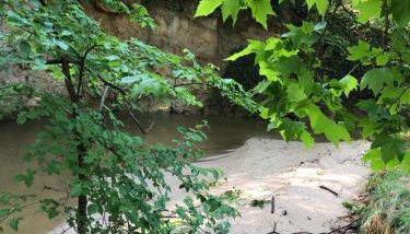 L'Olivier Fleurie Barjols - Foto 3