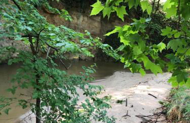 L'Olivier Fleurie Barjols - Foto 3