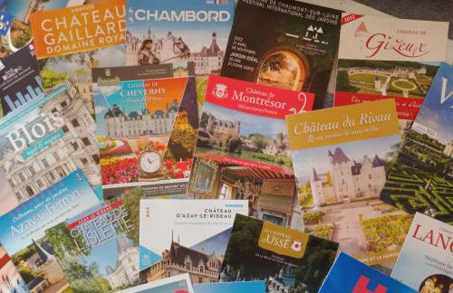 L'âme de la Renaissance Plumereau - PARKING PRIVÉ - Foto 27