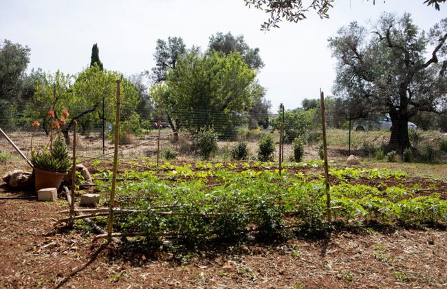 Trullo Nonna Netta con Piscina Idromassaggio e Area Giochi - Foto 38