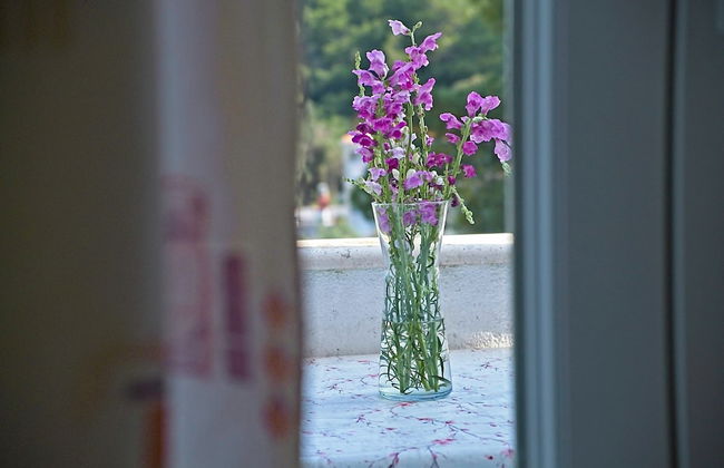 Guest House Matana Pomena - Foto 53