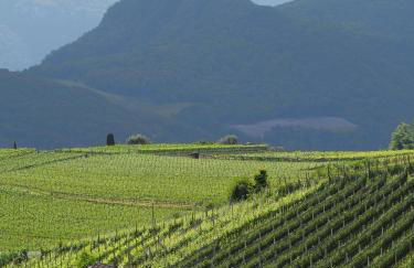 Marktplatz 10 - Foto 36