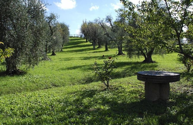 Verdidea - Podere Torre - Foto 41