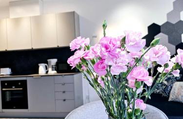 Apartamenty Chilldziówka w Miłkowie z sauną i z grillem Karpacz - Foto 10