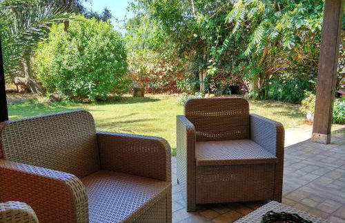 Il Fenicottero - Foto 3