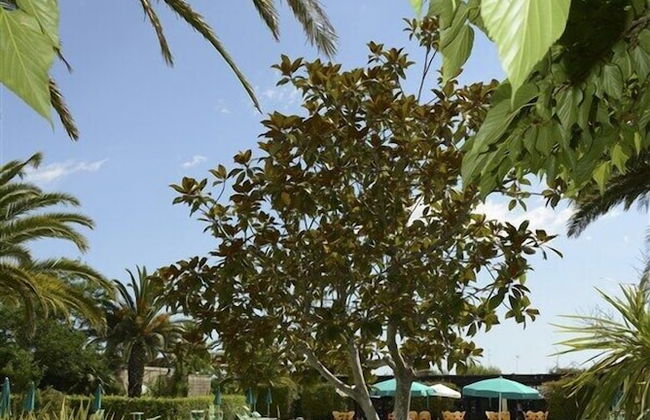 La Brunese - Foto 14