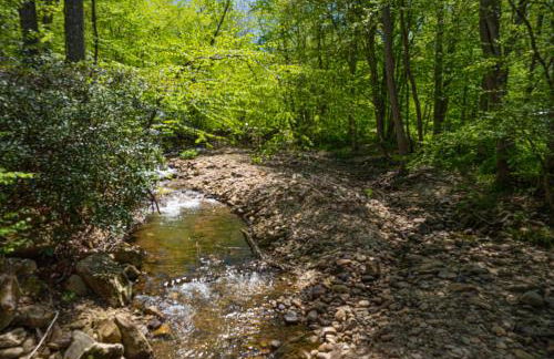 King Bed, Putt-Putt w/ Hot Tub, & Other Games - Foto 36