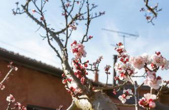 La Cascina dei Ciliegi - Foto 23