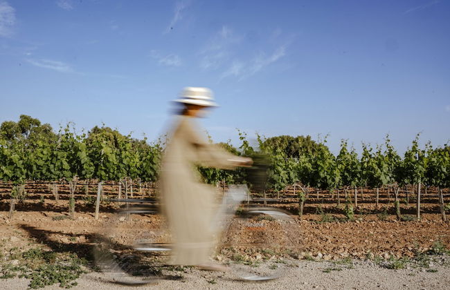 Finca Gomera, Luxury Country House - Foto 69
