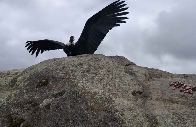 Private Tours from Popayán - Photo 6