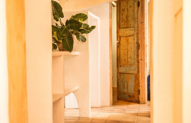 Mas Nur Sitges - Photo 35