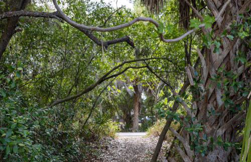 Beachy 2-1 Condo - Foto 39