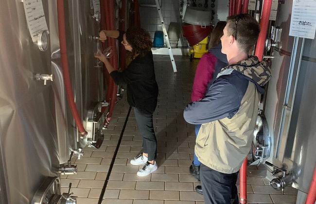 Premium Private Prosecco Hills Tour - 2 Cantine. Tour privato. - Foto 25