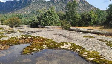 La Pérgola - Foto 5