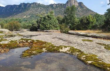 La Pérgola - Foto 5