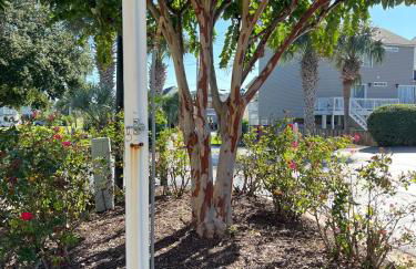 Cherry Grove 1BR screened porch 2nd Floor view - Foto 18