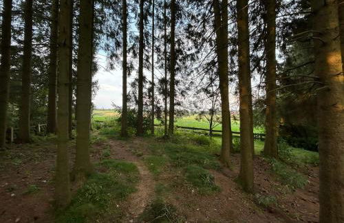 Bergwiesenblick38678 - Foto 5