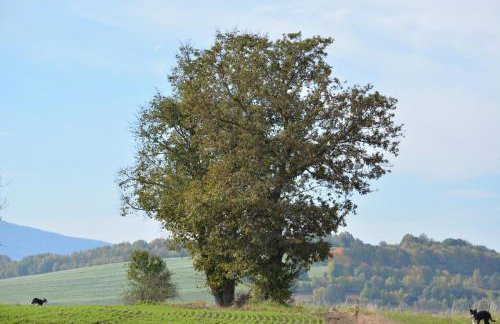 Hygge Młyńsko - Foto 38