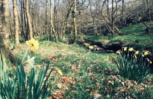 Bijou Cottage in Brontë Country with Wood-burning Stove & Hot Tub Spa - Foto 38