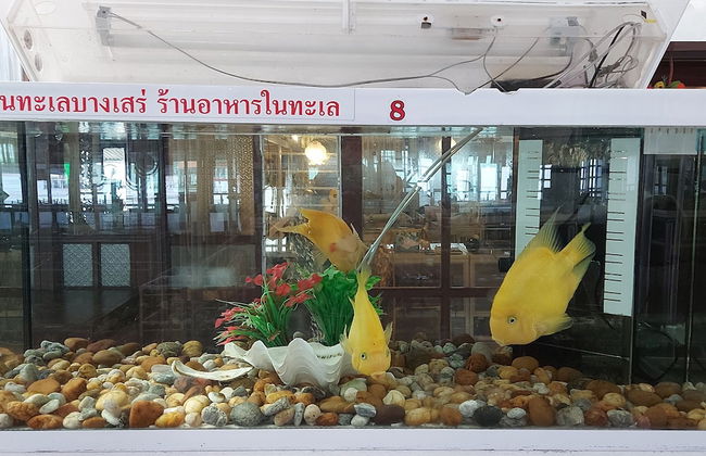 Ruantalay Bangsaray Resort - Foto 31