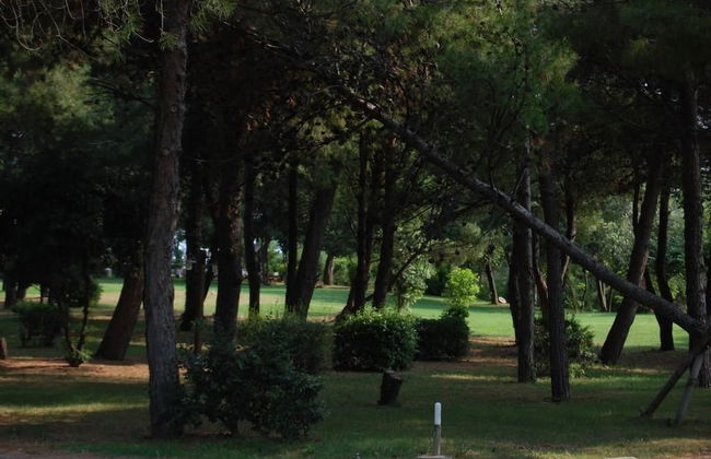 Locanda Strada Della Marina - Foto 15