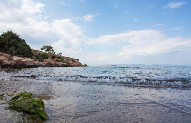 Aneli Villas - Villa Aegina - Foto 29