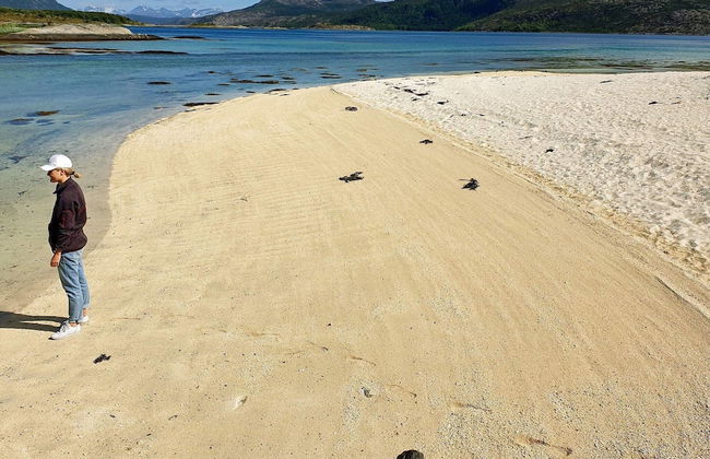 Seaside Charm in Hamaroy-by Traum - Foto 32