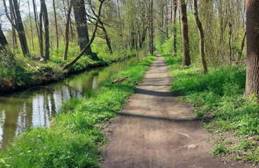 Spreewaldhaus Raddusch, Boote- Fahrräder gratis - Foto 27
