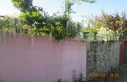 Pêssego - AL - Foto 19