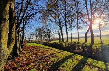 Ferienwohnung Sort Sol Grellsbülldeich 7 - Foto 63