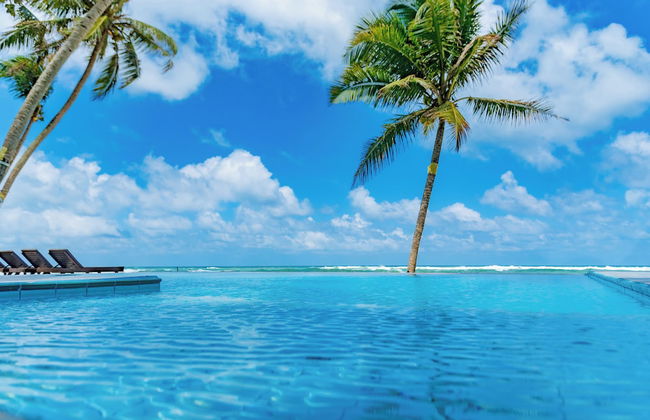 Amor Beach Unawatuna - Photo 40