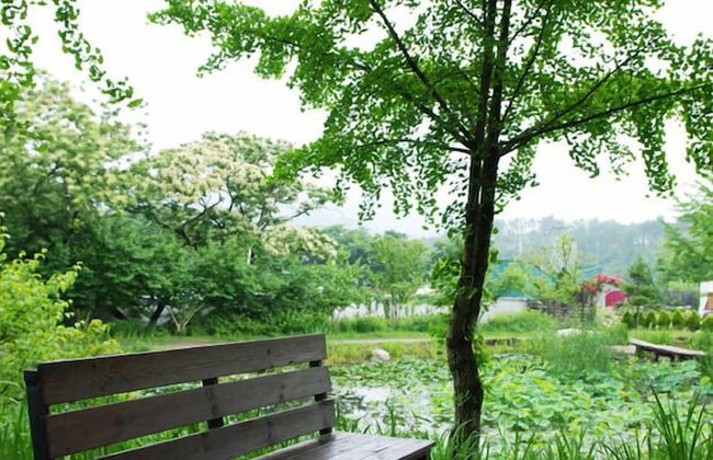 Haeyeorim Village - Foto 47