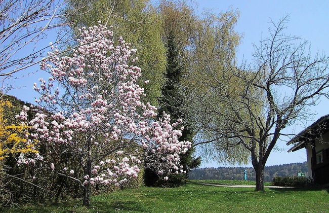 Holiday Home in Ludmannsdorf Near Worthersee - Photo 17