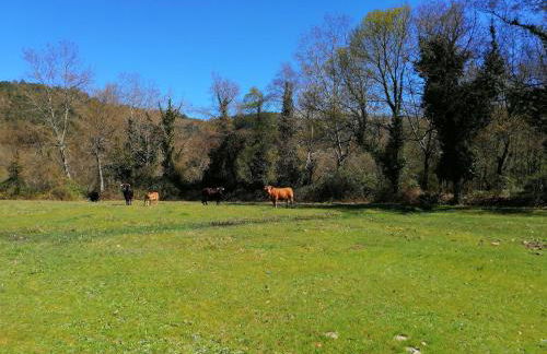 Casa do Vale de Cerva - Foto 24