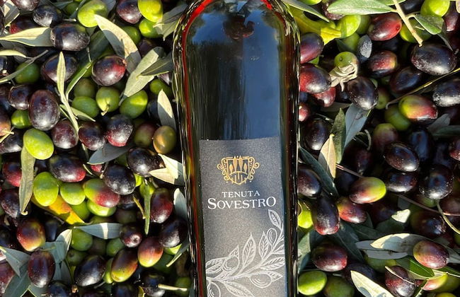 Tenuta Sovestro - Agriturismo e Winery - Foto 46