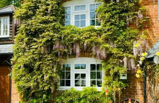 Little Woodside a beautiful New Forest self contained private luxury annexe - Foto 25