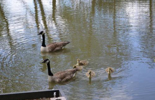 The Chiltern Lodges at Upper Farm Henton - Foto 18