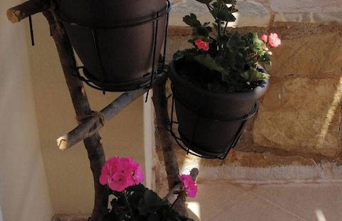 Cozy Apollon Villa, Sea View, Next To Galaxidi - Photo 21