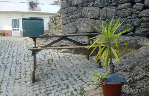 José Domingos - Foto 14