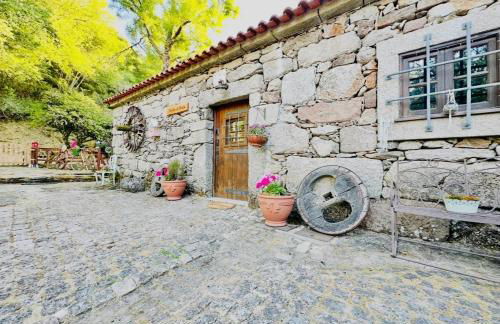 Moinho de Brião - Foto 8