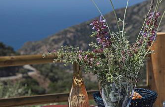 Christos Place-Anidri - Foto 7