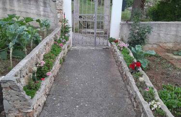 Apartments Zafranović - Foto 31