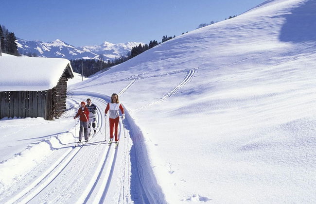 Chalet in Angerberg Near Skiwelt Slopes - Foto 32