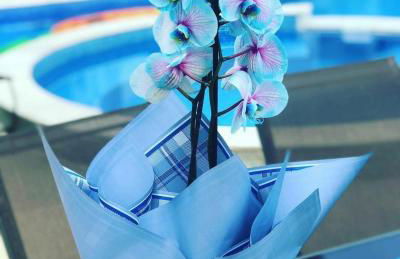 Chácara Arena JK com Piscina integrada com Sauna e Hidromassagem - Foto 30