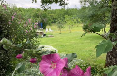 Les fontanelles du quercy blanc - Foto 30