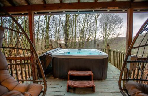 Cabin near Asheville, Hatley Pt, hot tub, views - Foto 48
