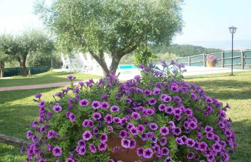 Casale il Colle Deruta - Foto 9