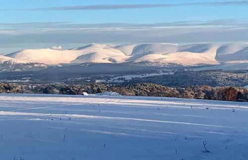 Squirrel View - Foto 13